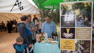 U Vrtovima lunjskih maslina održana 12. Lunjska maslinada. Foto: Vinko Pešić