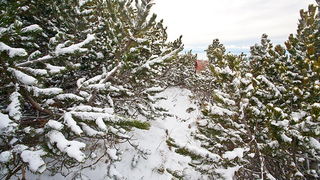 Đir do vrha Zečjak na sjevernom Velebitu, Foto: Leo Banić