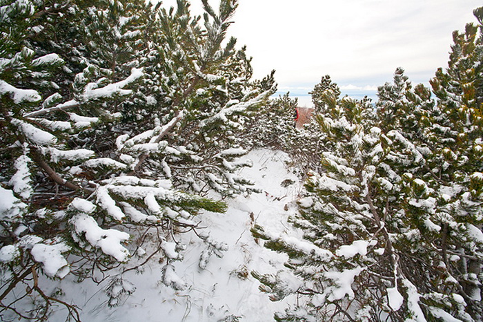 Đir do vrha Zečjak na sjevernom Velebitu, Foto: Leo Banić
