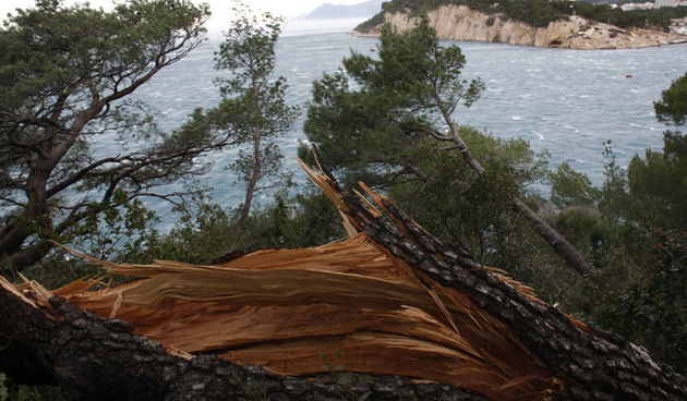 Makarska, 250111. 
Olujna bura koja na makarskom podrucju puse s udarima do 150 km/h uzrok je prekida trajektne linije Makarska-Sumartin (o. Brac) i Drvenik-Sucuraj (o.Hvar) a zabiljezena je i uobicajena materijalna steta koju je jaki vjetar prouzrocio.
N