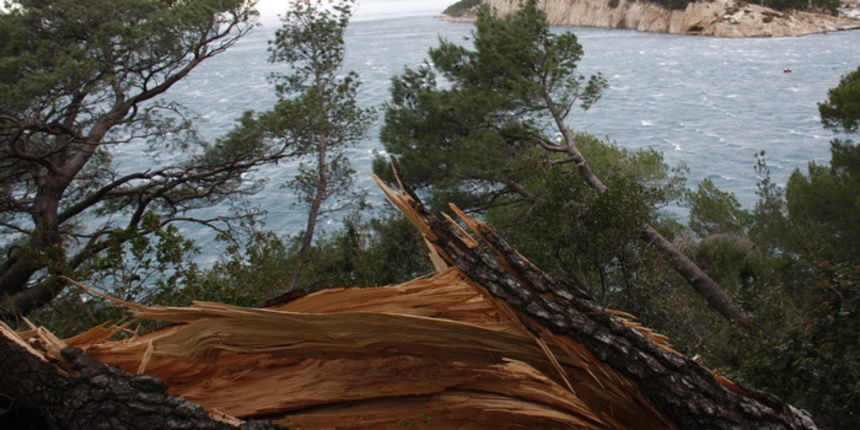 Makarska, 250111. 
Olujna bura koja na makarskom podrucju puse s udarima do 150 km/h uzrok je prekida trajektne linije Makarska-Sumartin (o. Brac) i Drvenik-Sucuraj (o.Hvar) a zabiljezena je i uobicajena materijalna steta koju je jaki vjetar prouzrocio.
N