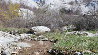 Ako ste u mogućnosti za mali izlet, posjetite Stap – veliko krško polje na Južnom Velebitu, na 960 m visine, foto: Vedran Penga