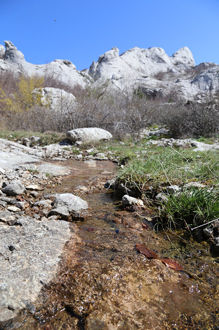 Ako ste u mogućnosti za mali izlet, posjetite Stap – veliko krško polje na Južnom Velebitu, na 960 m visine, foto: Vedran Penga