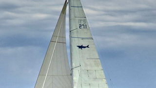 Zadarska regata 2013, Foto: Leonard Kvarantan