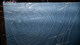 Nedjeljno svitanje na Vranskom jezeru Nedjeljno svitanje na Vranskom jezeru