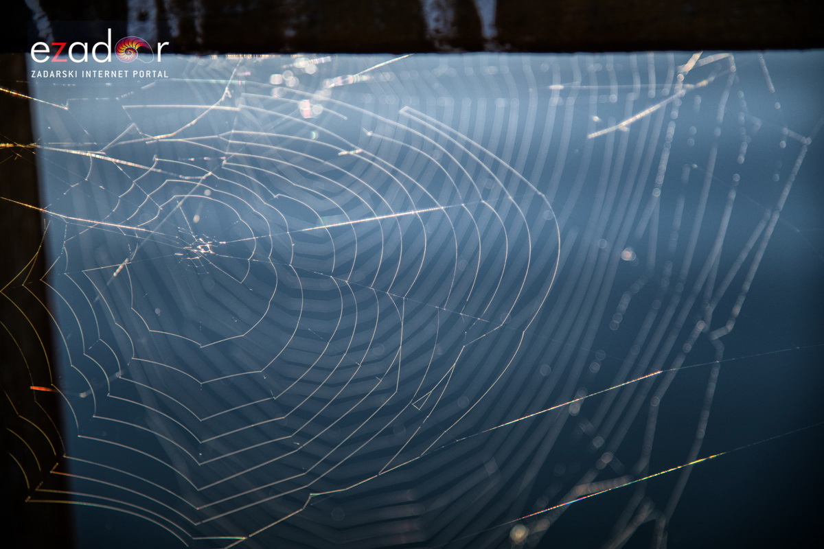 Nedjeljno svitanje na Vranskom jezeru Nedjeljno svitanje na Vranskom jezeru