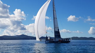 Zadarska Koka 2016. 22. listopada 2016. Foto: Mladen Malik Zadarska Koka 2016. 22. listopada 2016. Foto: Mladen Malik