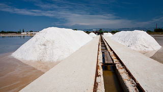 Solana Nin, berba soli, foto: Leo Banić