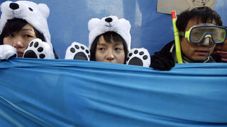 Image 1195813 (auto) Image 1195813 (auto)