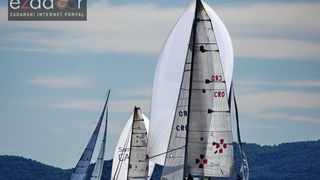 Zadarska koka 2017. Zadarska koka 2017.