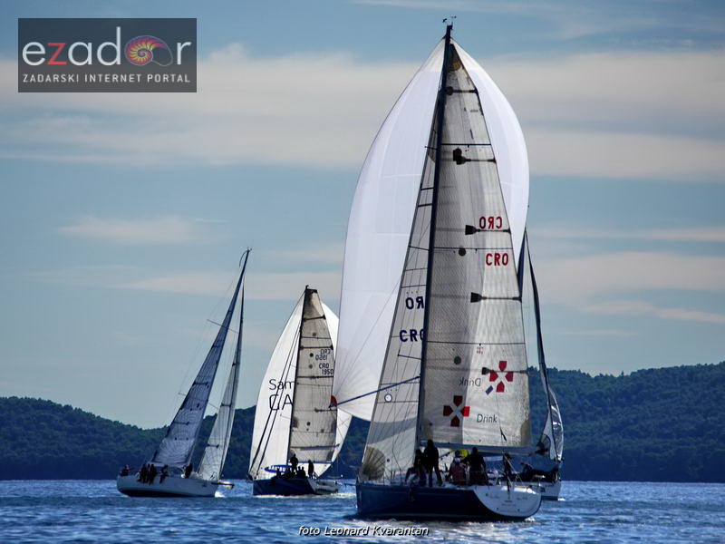 Zadarska koka 2017. Zadarska koka 2017.