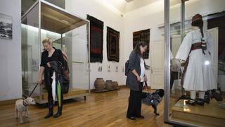 Kulturne šapice Kulturne šapice