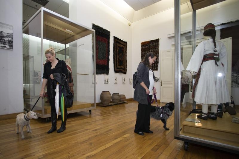 Kulturne šapice Kulturne šapice