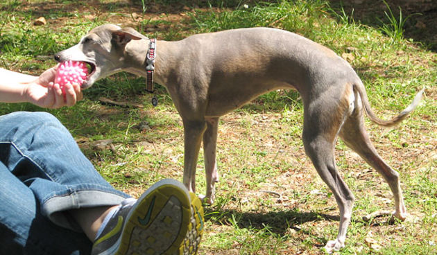 Image 1171033 (auto)