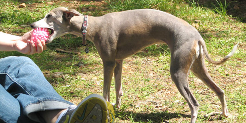 Image 1171033 (auto) Image 1171033 (auto)