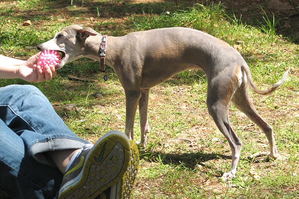 Image 1171033 (auto)