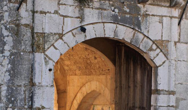 Dani vitezova i templara u Vrani