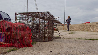 Ekološka akcija čišćenja podmorja u Bibinjama, foto: Leo Banić Ekološka akcija čišćenja podmorja u Bibinjama, foto: Leo Banić