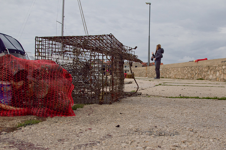 Ekološka akcija čišćenja podmorja u Bibinjama, foto: Leo Banić Ekološka akcija čišćenja podmorja u Bibinjama, foto: Leo Banić
