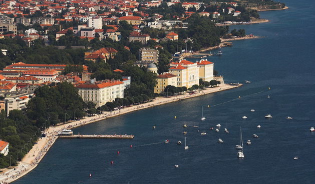 Image 1176289 (auto)