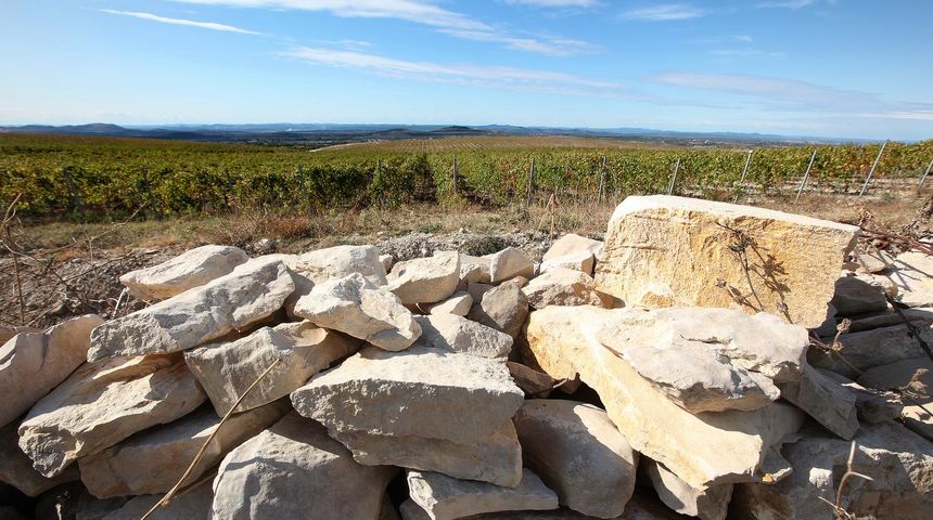 enkovački kamen, vinograd enkovački kamen, vinograd