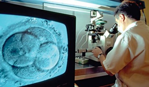 Umjetna oplodnja (Foto: Tportal.hr)