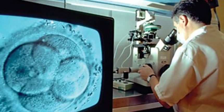 Umjetna oplodnja (Foto: Tportal.hr) Umjetna oplodnja (Foto: Tportal.hr)