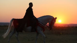 Zadar, Vrana, 170812.
Povijesno turisticki spektakl koji organizira TZ Pakostane i udruga Vitezovi vranski danas se nastavlja rekonstrukcijom bitke za Vranu, na autenticnoj lokaciji u Hanu Jusuf – pase Maskovica. U sklopu Dana vitezova vranskih podignuti Zadar, Vrana, 170812.
Povijesno turisticki spektakl koji organizira TZ Pakostane i udruga Vitezovi vranski danas se nastavlja rekonstrukcijom bitke za Vranu, na autenticnoj lokaciji u Hanu Jusuf – pase Maskovica. U sklopu Dana vitezova vranskih podignuti