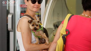 Đir po gradu, ponedjeljak 24. lipnja 2019. Đir po gradu, ponedjeljak 24. lipnja 2019.