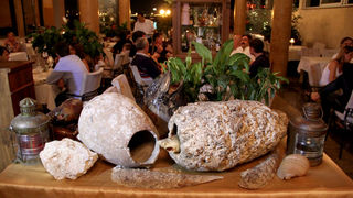 Restoran Niko: Fešta uz klape Bonaca, Niko i prijatelje Restoran Niko: Fešta uz klape Bonaca, Niko i prijatelje