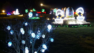 Cazma, 060412.
Obitelj Salaj iz Grabovnice kraj Cazme po prvi je put po uzoru na bozicni ugodjaj priredila i “Uskrsnu pricu”. Za tu su priliku imanje ukrasili s 2700 pisanica, zeceva, pilica i pijetlova koji svijetle po noci i ostavljaju posjetioce bez da