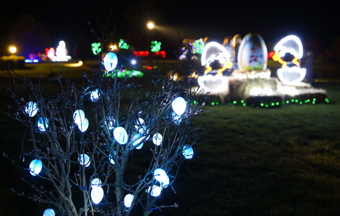 Cazma, 060412.
Obitelj Salaj iz Grabovnice kraj Cazme po prvi je put po uzoru na bozicni ugodjaj priredila i “Uskrsnu pricu”. Za tu su priliku imanje ukrasili s 2700 pisanica, zeceva, pilica i pijetlova koji svijetle po noci i ostavljaju posjetioce bez da