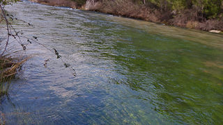 Ugodno prijepodne uz tok rijeke Karešnice i stare zapuštene mlinove, foto: Darko Belančić