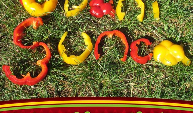 Sajam Dani sunca 4. i 5. studenog na Narodnom trgu