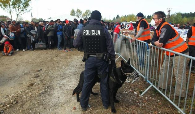 Brezice, Slovenija – Oko 2000 izbjeglica u koloni hoda od mjesta Rigonce prema kampu u Brezicama u pratnji Slovenske policije, Foto: Zeljko Lukunic/PIXSELL