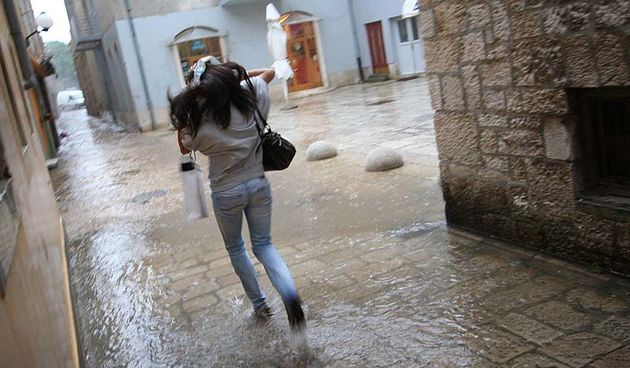 Image 1134813 (auto)