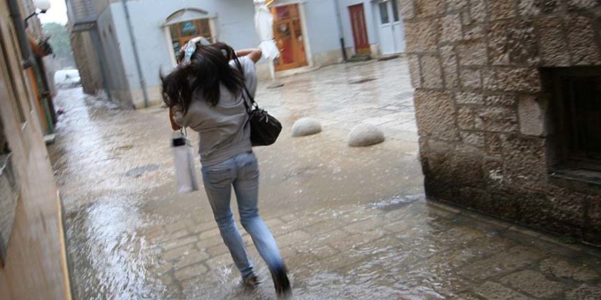 Image 1134813 (auto)