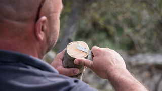 U Vrtovima lunjskih maslina održana 12. Lunjska maslinada. Foto: Vinko Pešić