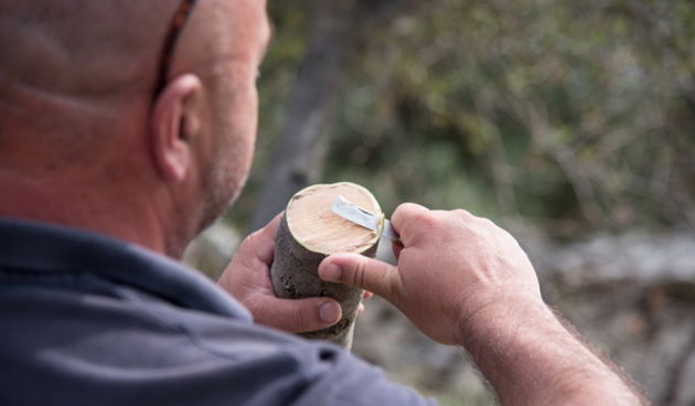 U Vrtovima lunjskih maslina održana 12. Lunjska maslinada. Foto: Vinko Pešić