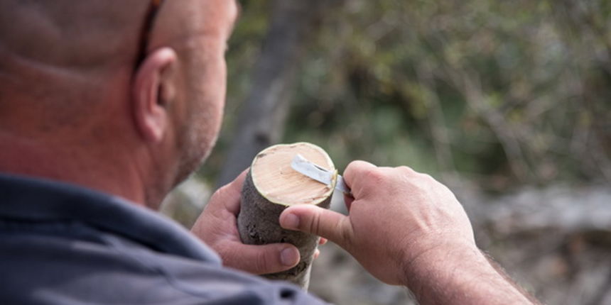 U Vrtovima lunjskih maslina održana 12. Lunjska maslinada. Foto: Vinko Pešić