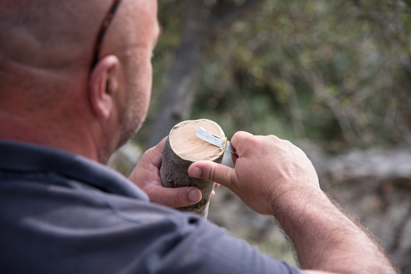 U Vrtovima lunjskih maslina održana 12. Lunjska maslinada. Foto: Vinko Pešić