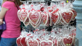 Hodocasce zupljana zupe Bl. Alojzija Stepinca u Krasic, Mariju Bistricu i zagreb, Foto: Darko Dilber