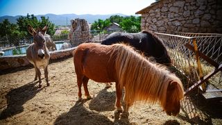 Zaton Obrovački: ZOO s egzotičnim i domaćim životinjama Zaton Obrovački: ZOO s egzotičnim i domaćim životinjama
