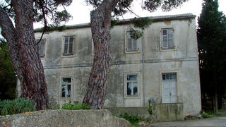 Image 1190417 (auto)