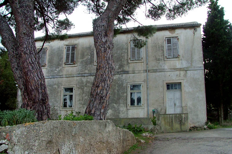 Image 1190417 (auto)