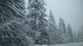 Vlašići BiH, 13. 02. 2010.