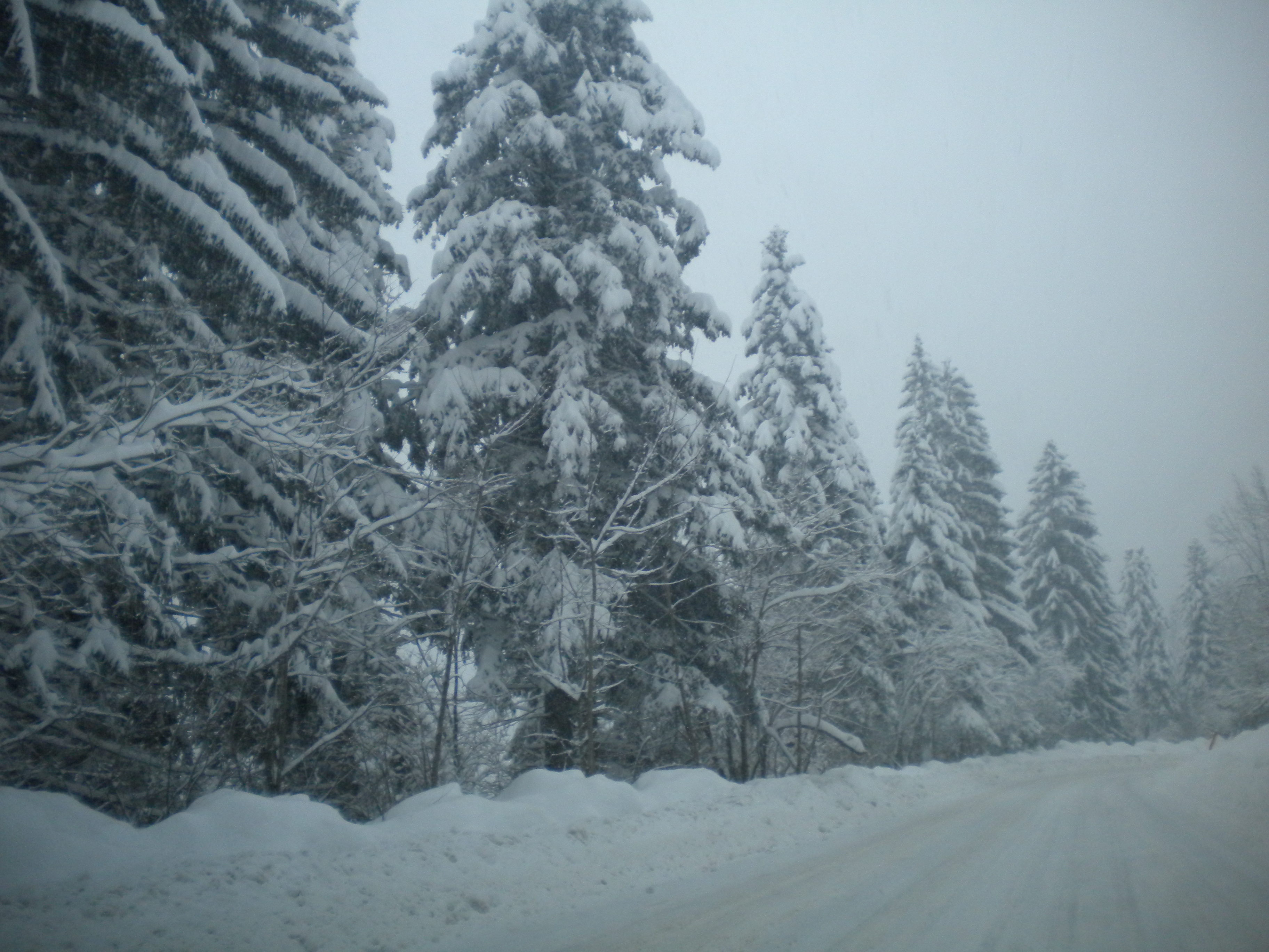 Vlašići BiH, 13. 02. 2010.