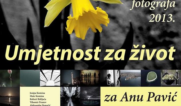 Umjetnost za život/Ana Pavić