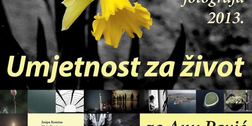 Umjetnost za život/Ana Pavić