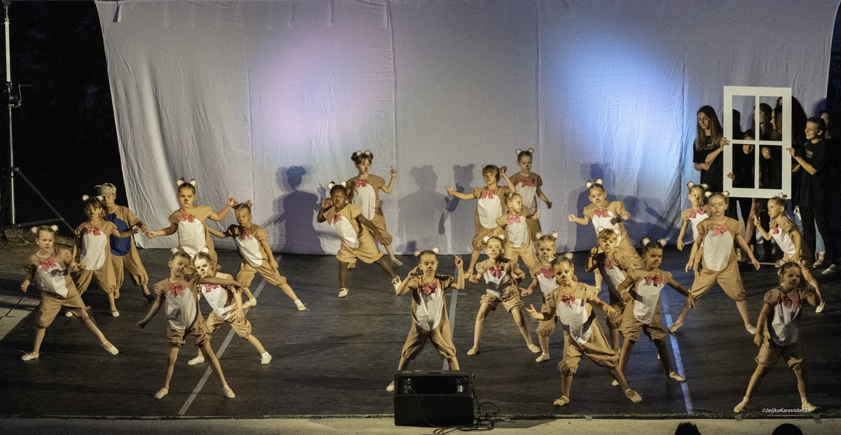 Gesta obilježila 20 godina djelovanja Gesta obilježila 20 godina djelovanja